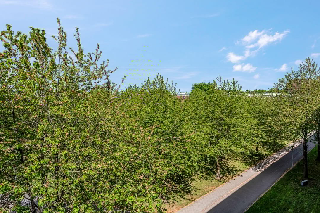 Foto 8 van Troelstraweg 83