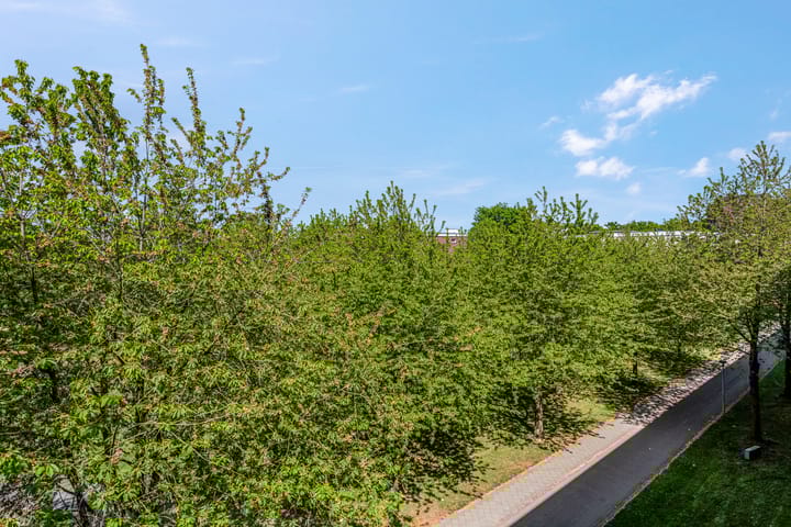 Foto 8 van Troelstraweg 83