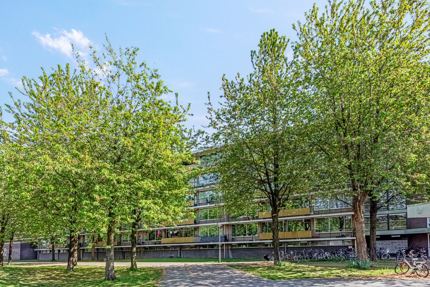 Foto 25 van Troelstraweg 83