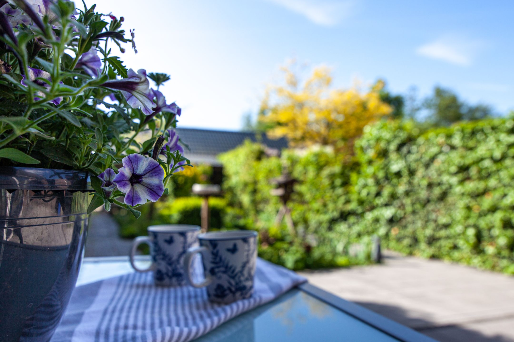 Foto 42 van Hogebrug 34