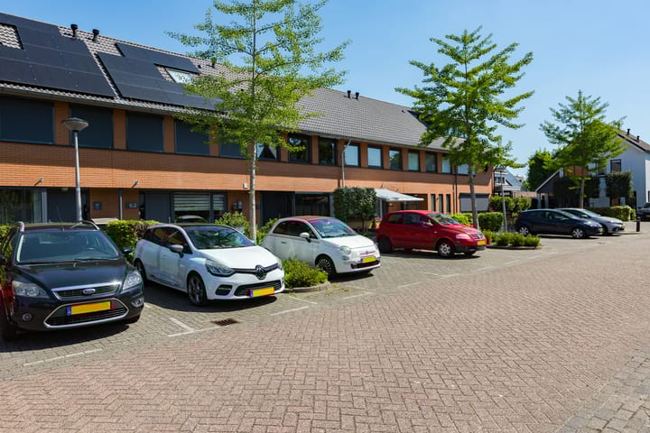 Foto 6 van Steenbreekvaren 64