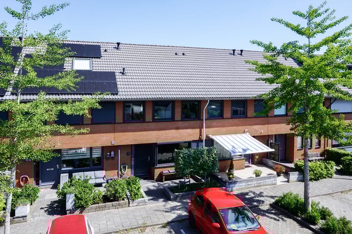 Foto 7 van Steenbreekvaren 64