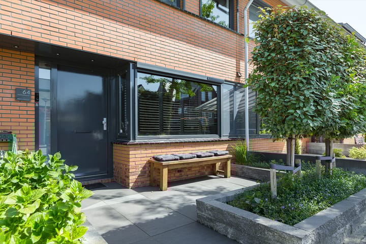 Foto 8 van Steenbreekvaren 64