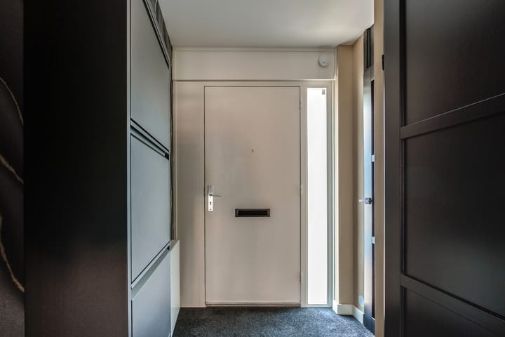 Foto 9 van Steenbreekvaren 64