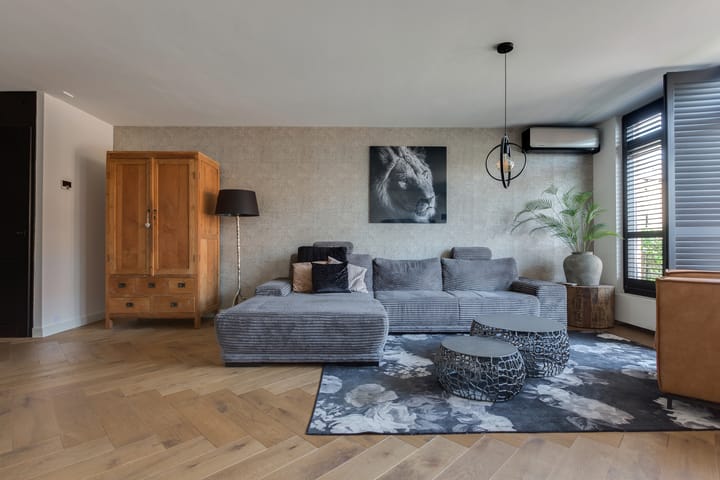 Foto 12 van Steenbreekvaren 64