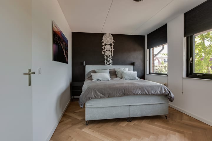 Foto 21 van Steenbreekvaren 64