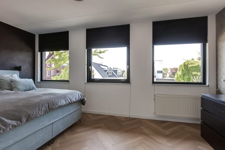 Foto 22 van Steenbreekvaren 64