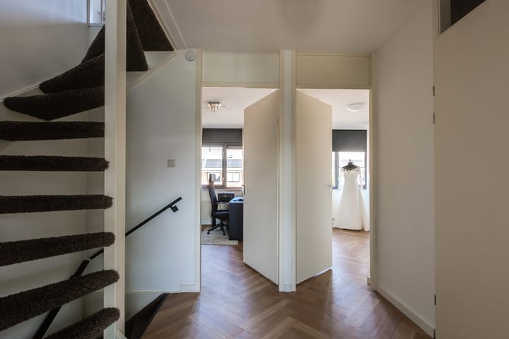 Foto 24 van Steenbreekvaren 64