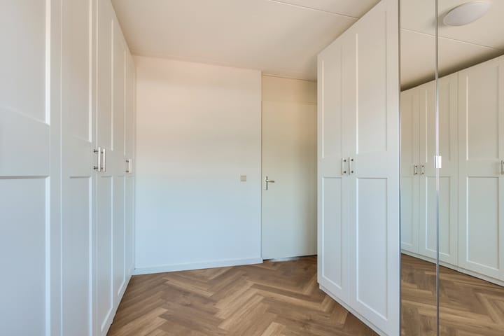 Foto 26 van Steenbreekvaren 64