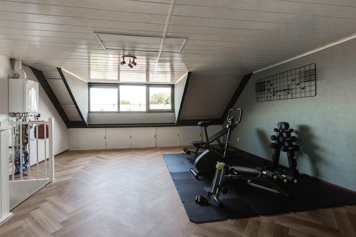 Foto 31 van Steenbreekvaren 64