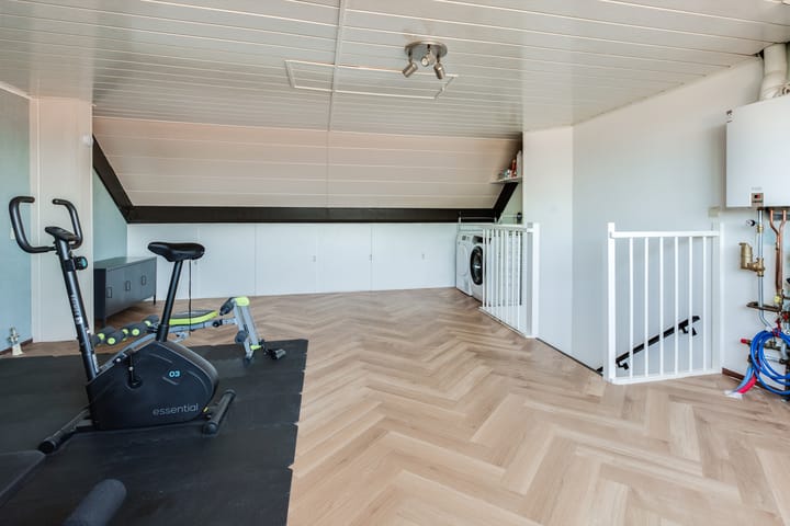 Foto 32 van Steenbreekvaren 64