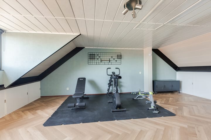 Foto 33 van Steenbreekvaren 64