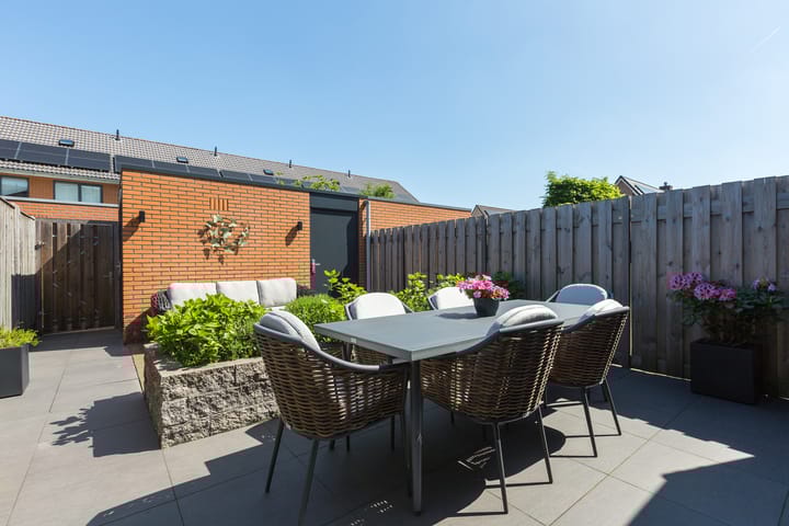 Foto 34 van Steenbreekvaren 64