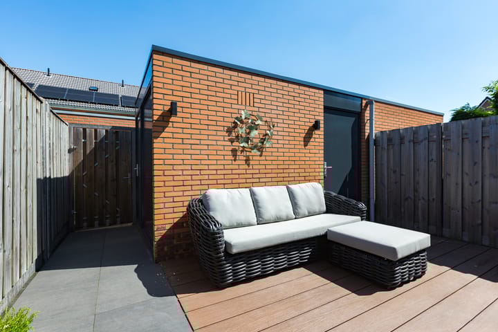 Foto 35 van Steenbreekvaren 64