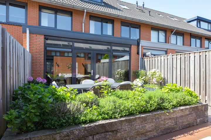 Foto 36 van Steenbreekvaren 64