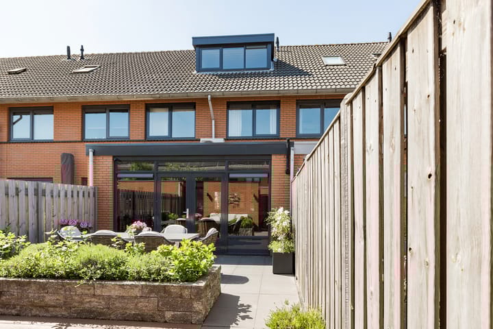 Foto 37 van Steenbreekvaren 64