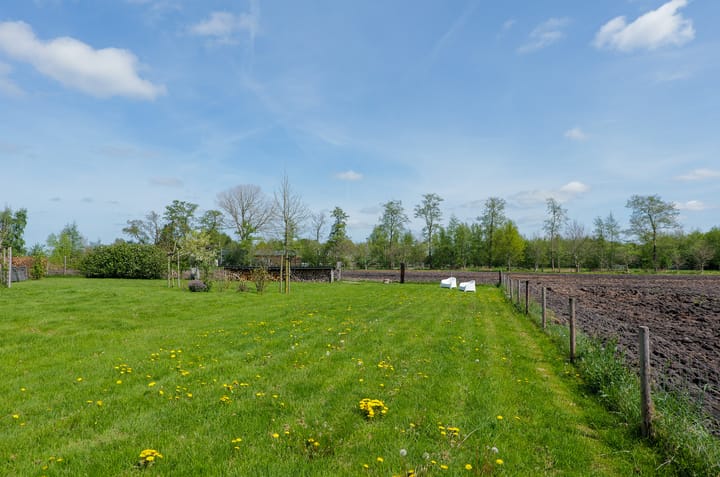 Foto 66 van De Trije Roeden 6