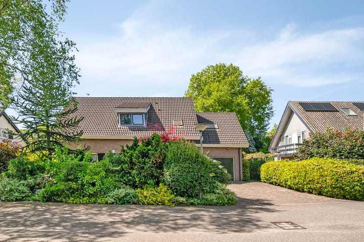 Photo 2 of Heirust 11