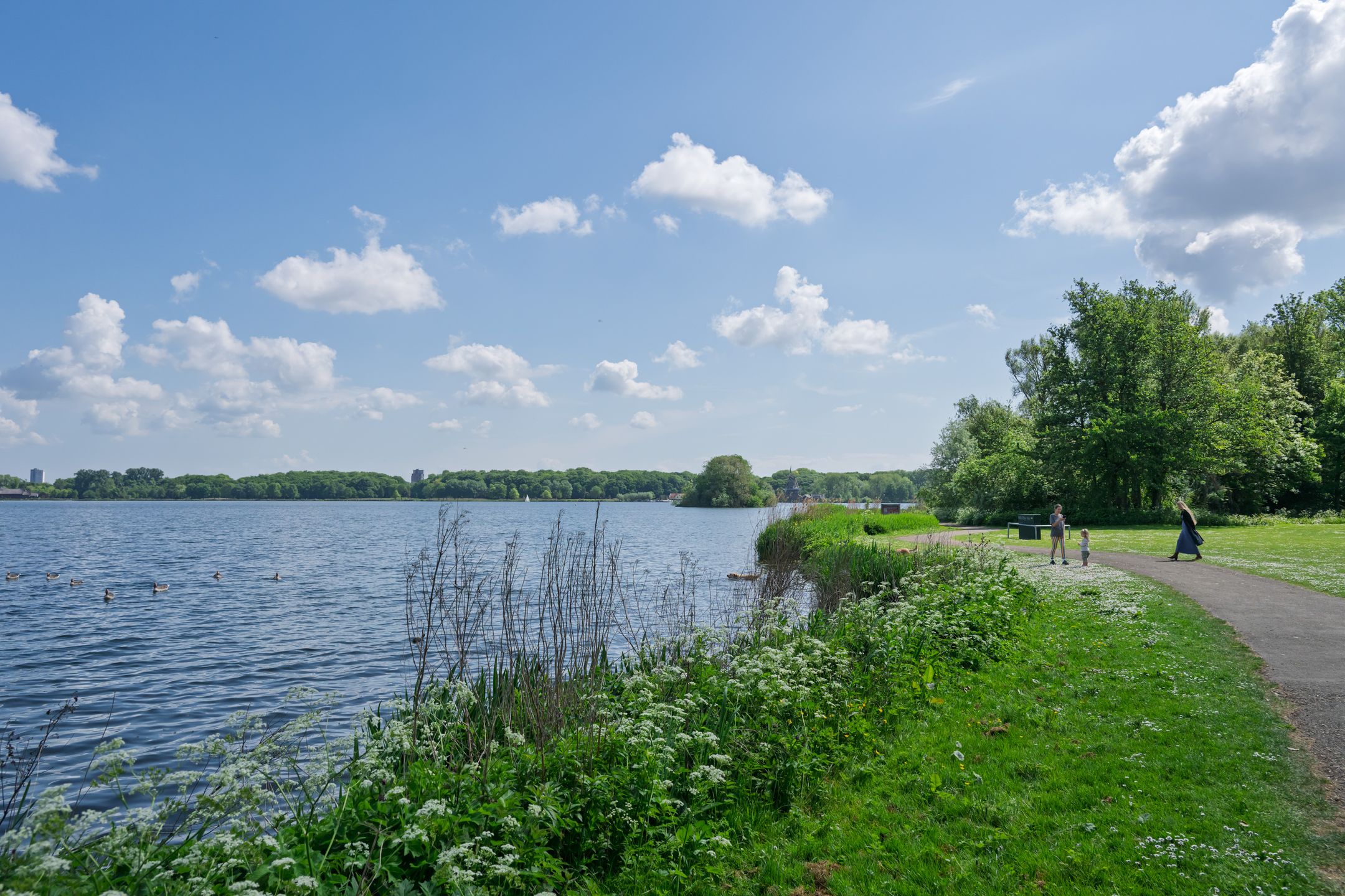 Foto 33 van Jericholaan 84-B01