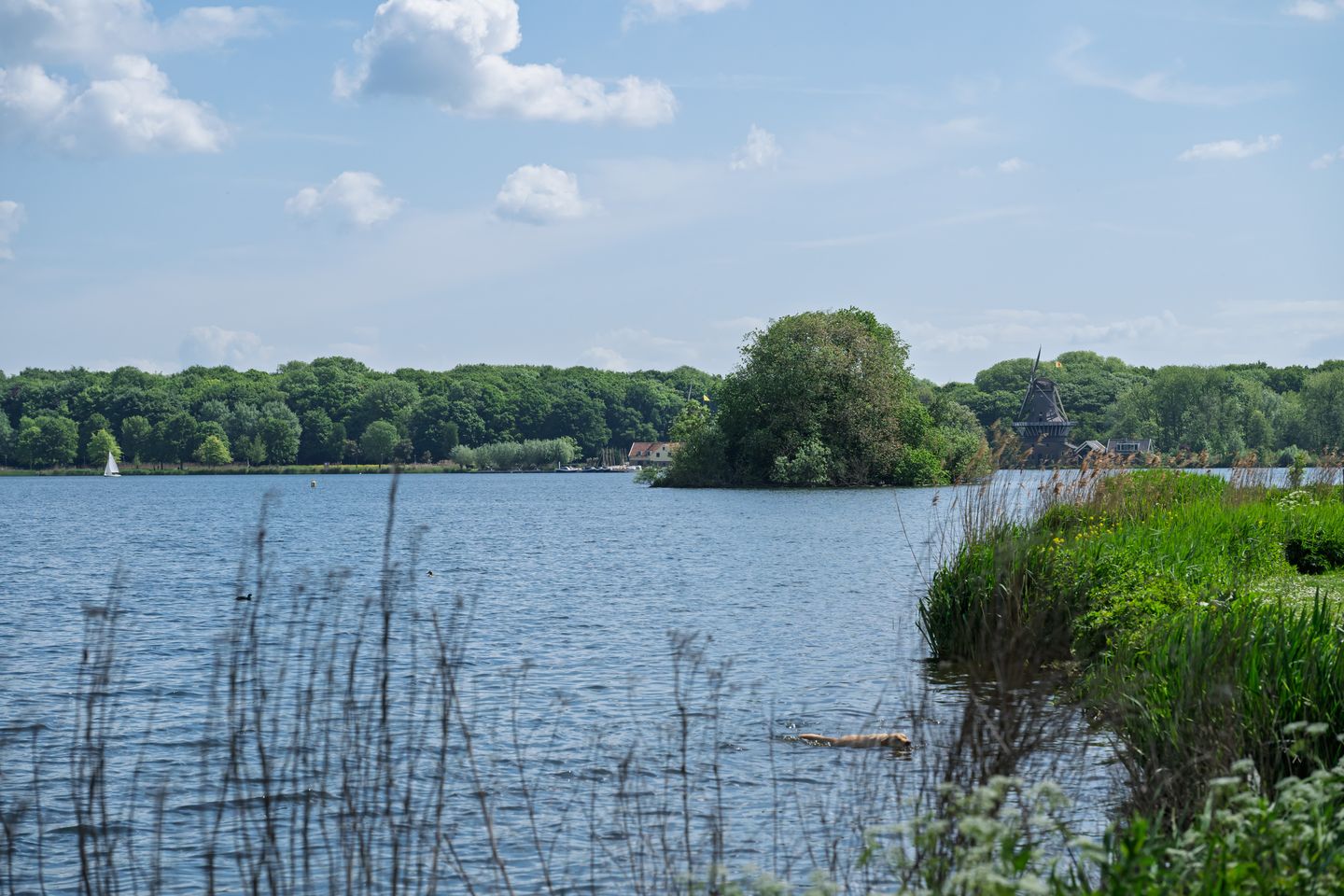 Foto 34 van Jericholaan 84-B01