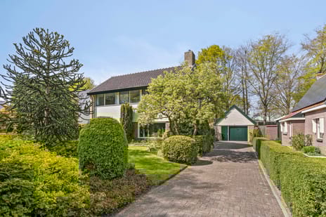 undefined main image