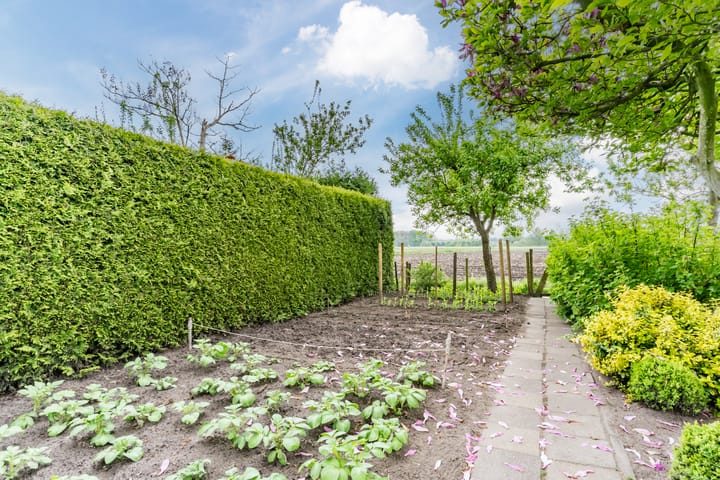 Photo 42 of Willibrordlaan 18