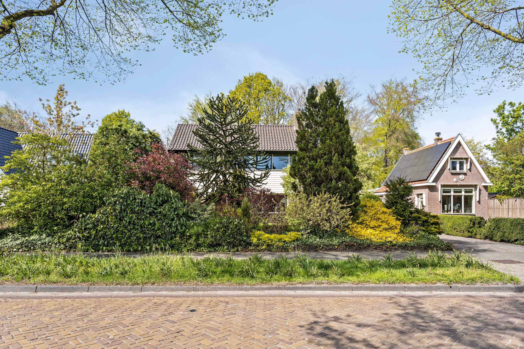 Photo 6 of Schoterlandseweg 91