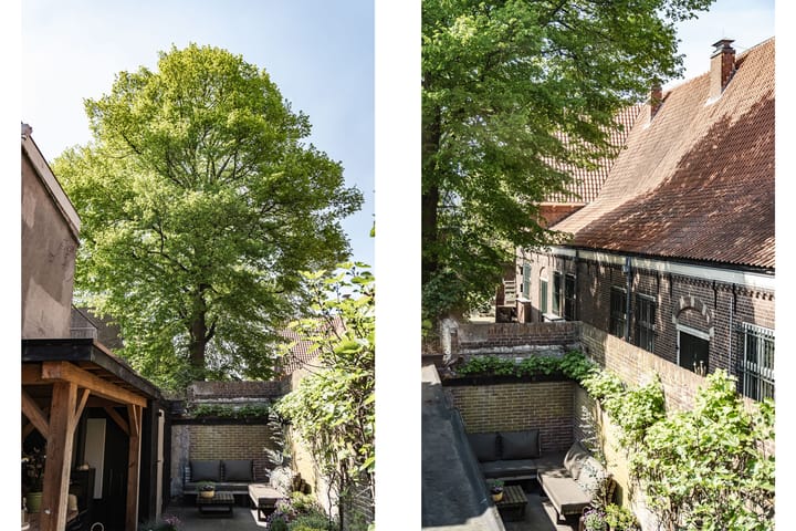 Foto 34 van Groot Heiligland 64