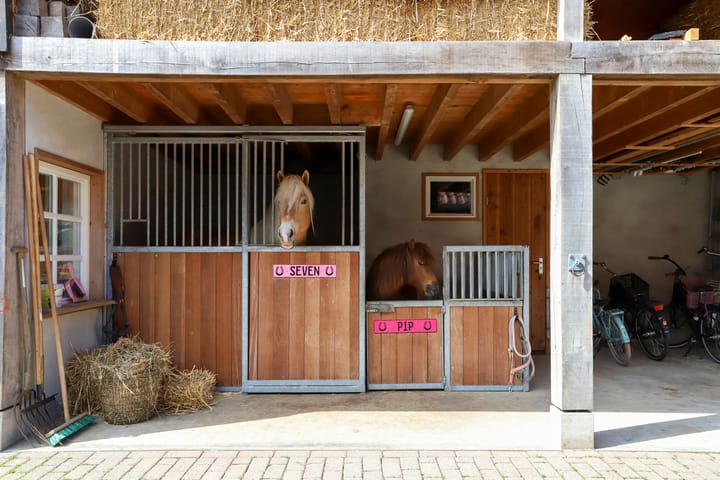 Photo 33 of Westeinde 28