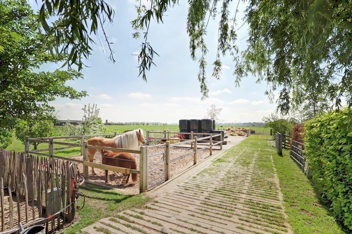 Photo 45 of Westeinde 28