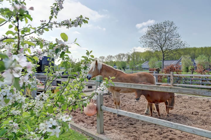 Photo 48 of Westeinde 28