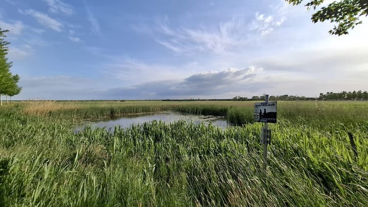 Foto 49 van Binnenhoek 6