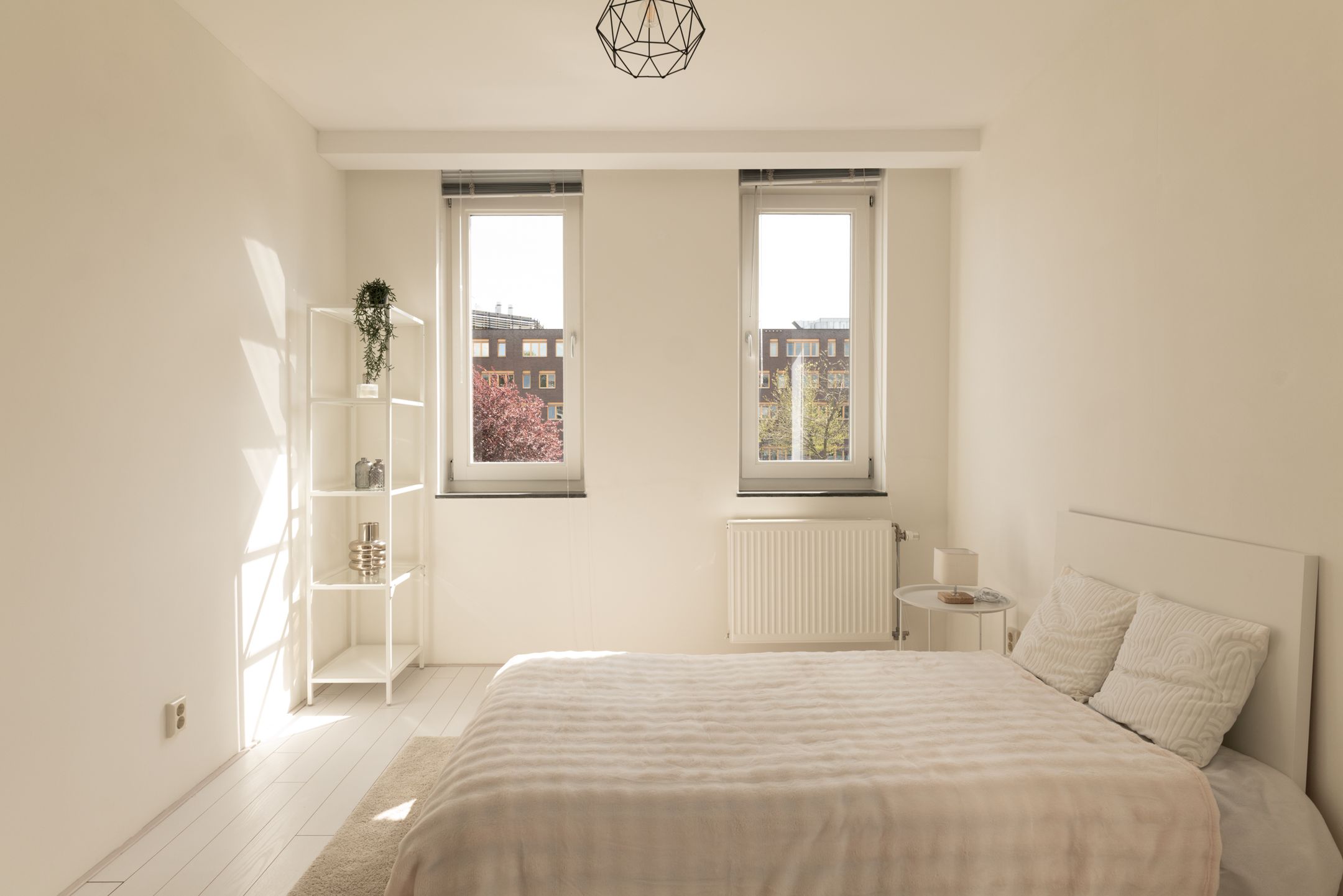 Foto 21 van Eliza van Calcarstraat 13