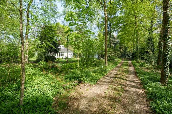 Foto 3 van Papenpad 34-A