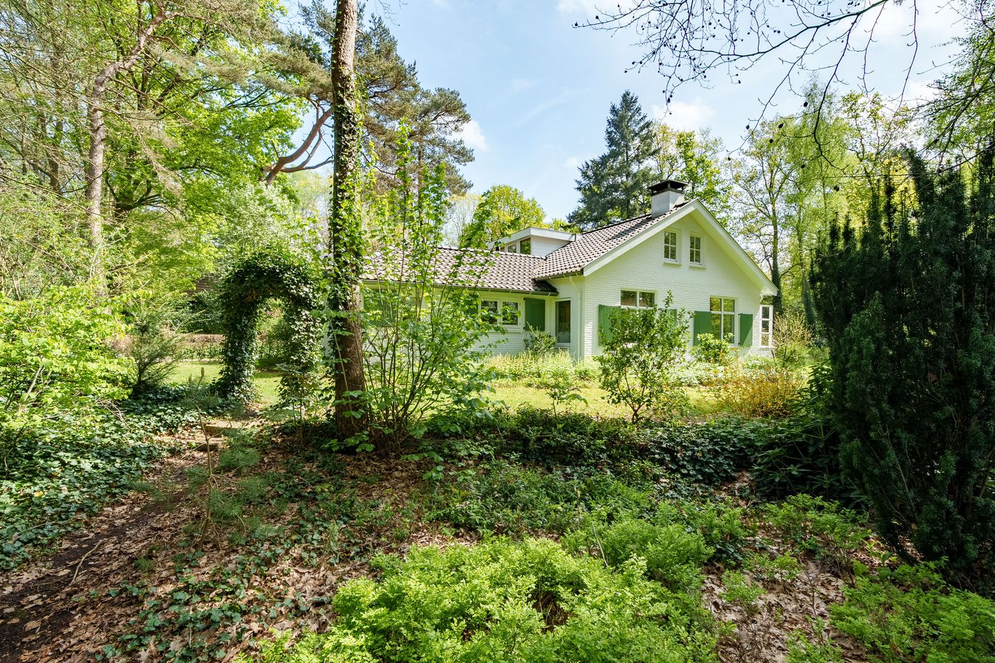 Photo 34 of Papenpad 34-A