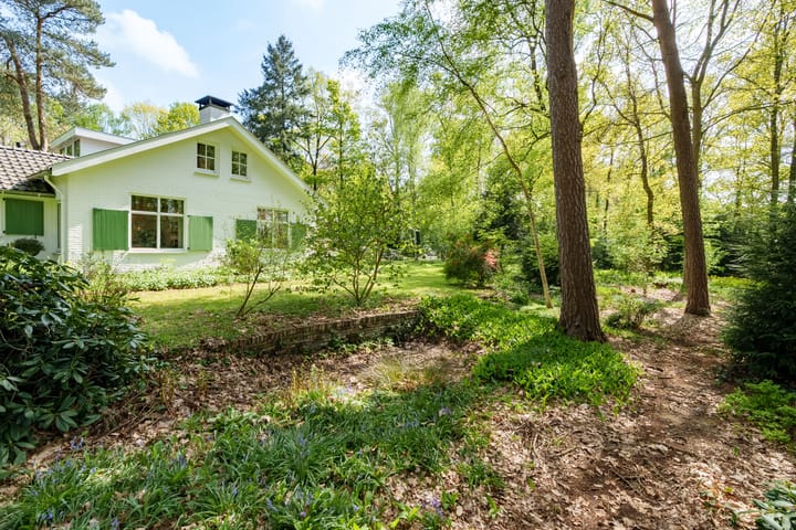 Photo 35 of Papenpad 34-A