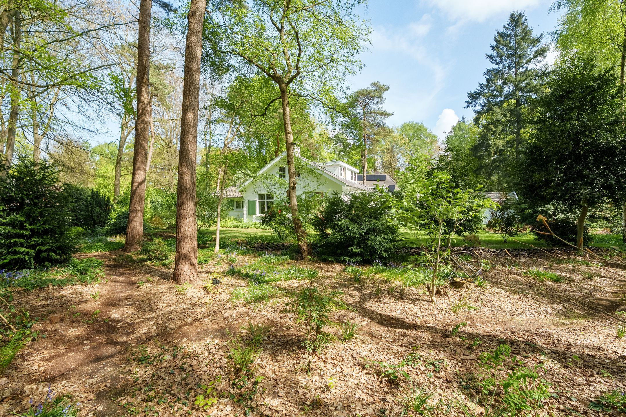 Photo 36 of Papenpad 34-A