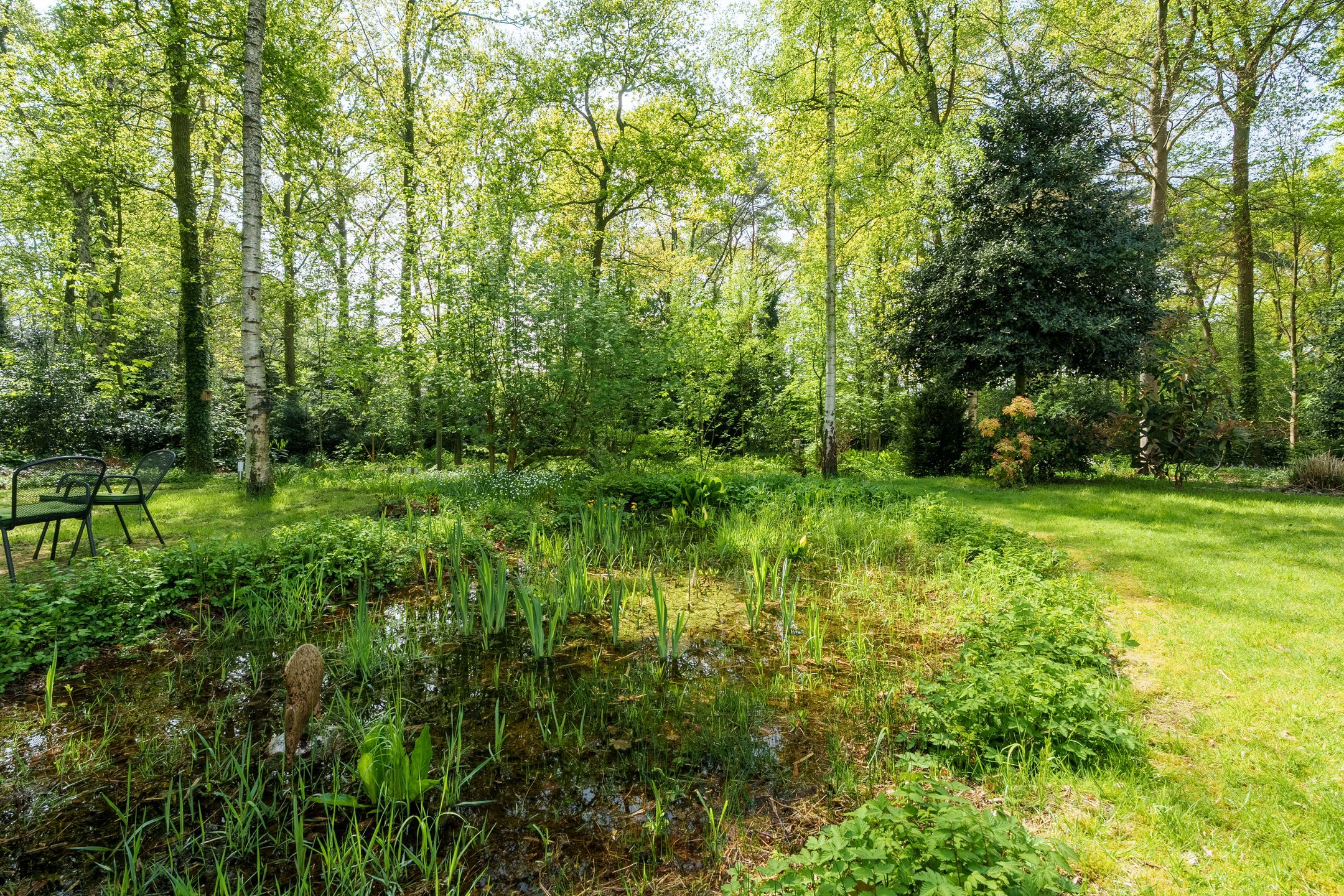 Photo 39 of Papenpad 34-A