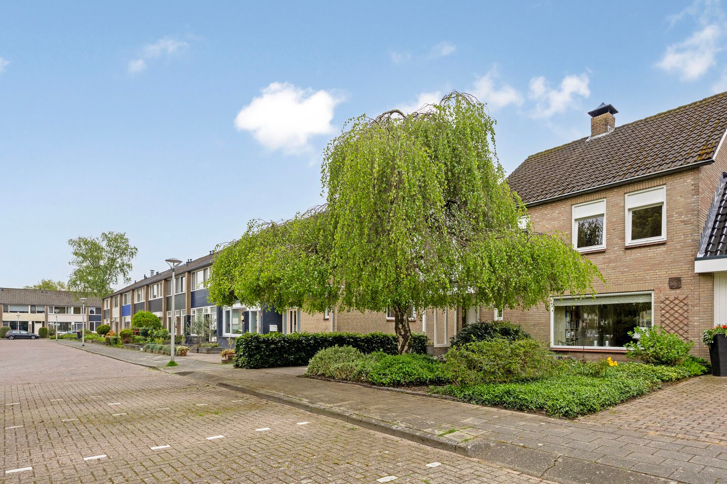 Brammelobrink 47-D main image