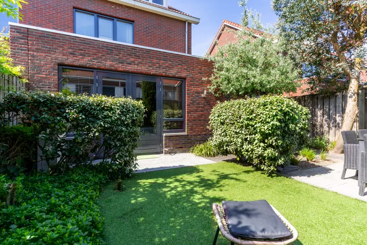 Foto 4 van Buizerd 98