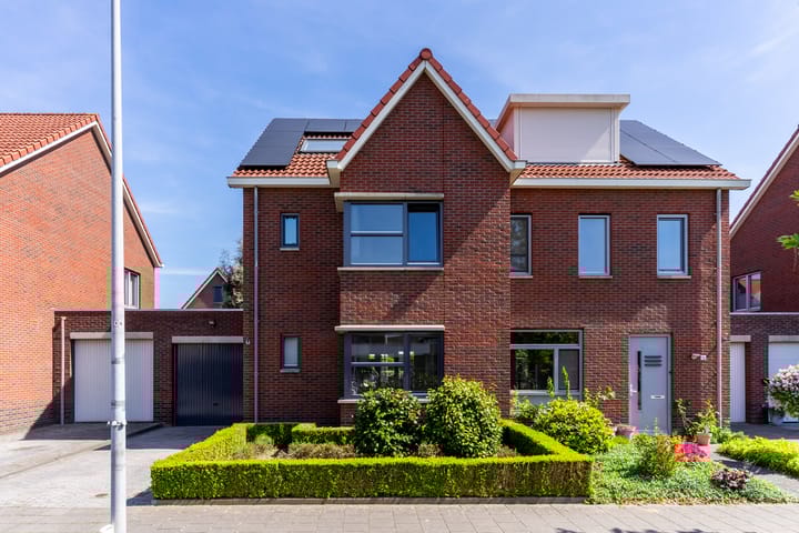 Foto 5 van Buizerd 98