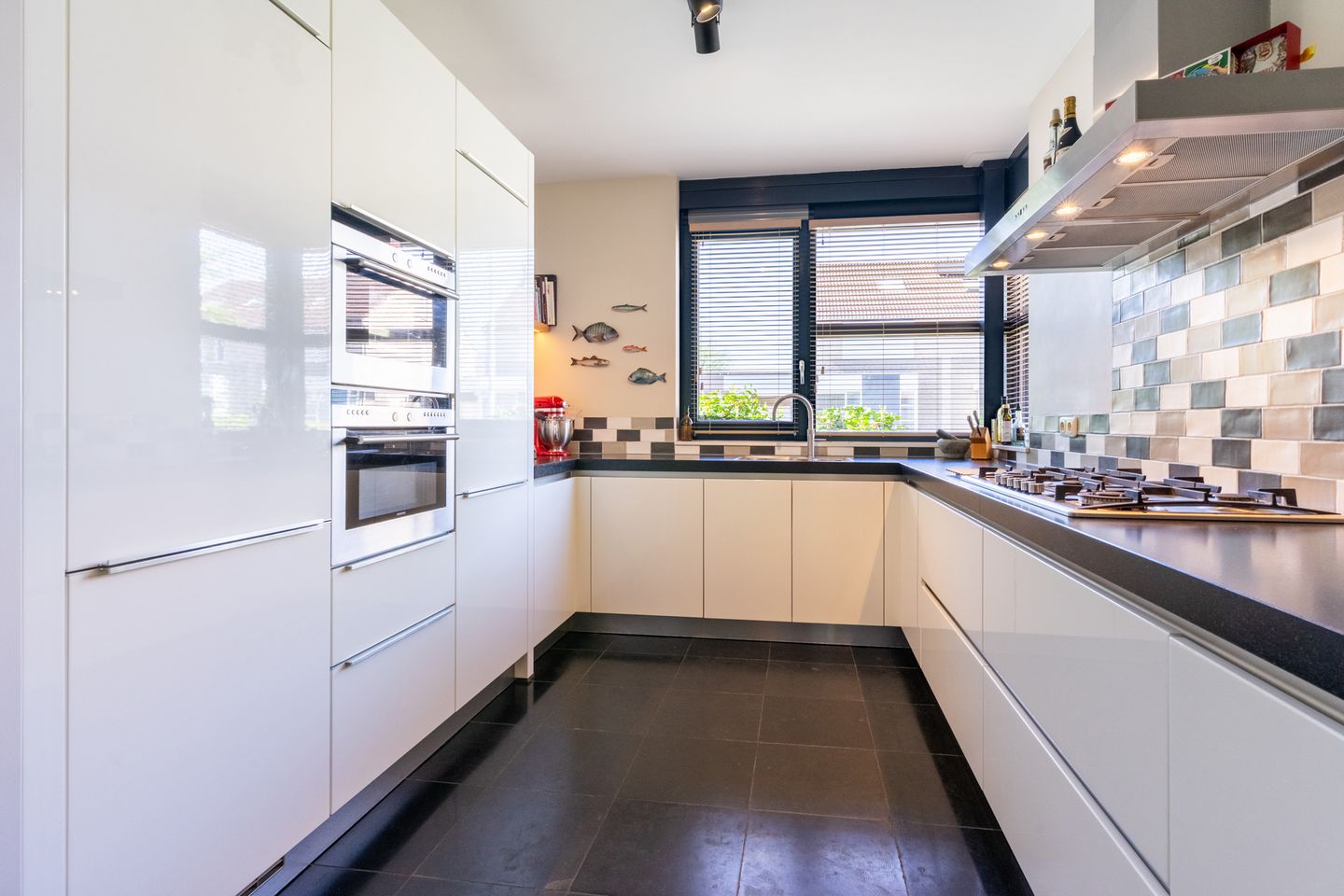 Foto 19 van Buizerd 98