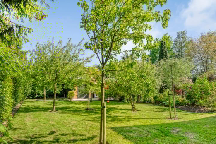 Foto 54 van Reeweg 95