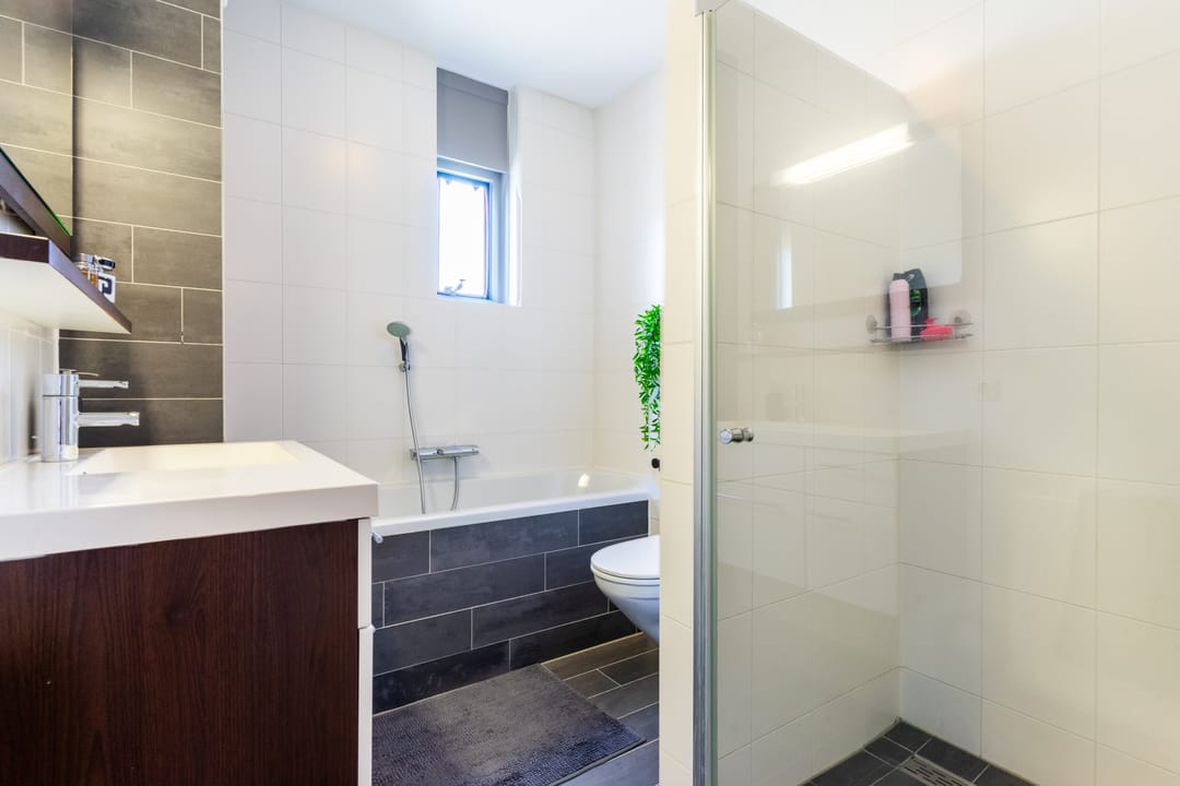 Foto 31 van Buizerd 98