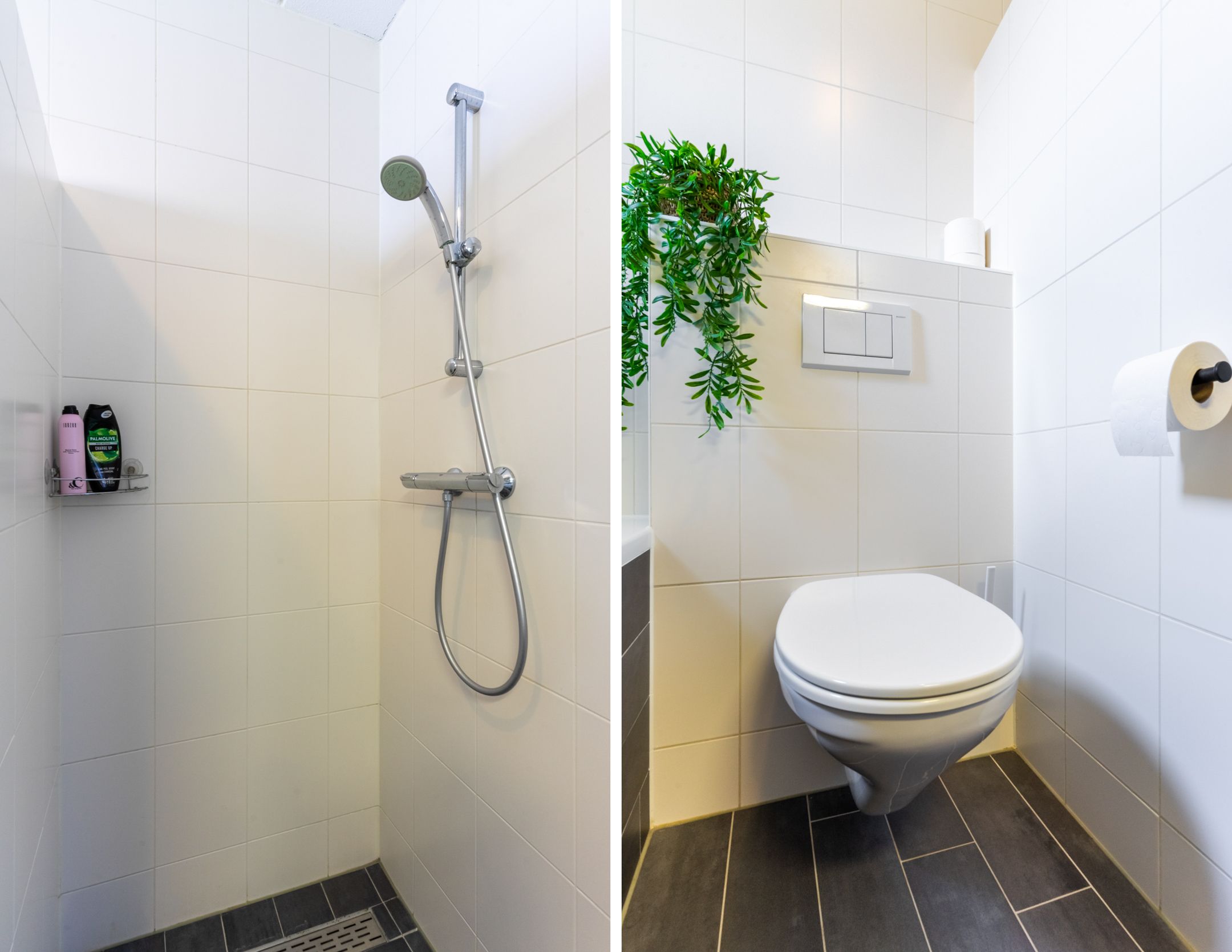 Foto 33 van Buizerd 98