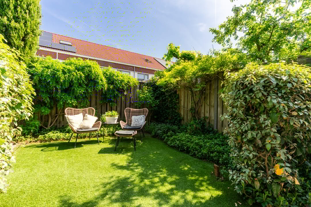 Foto 41 van Buizerd 98