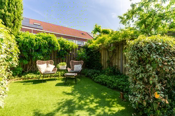 Photo 41 of Buizerd 98