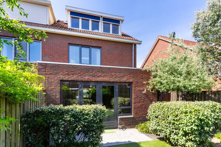 Photo 42 of Buizerd 98