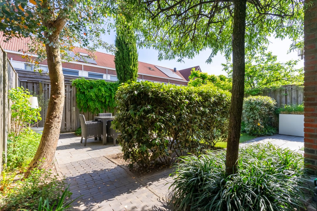 Foto 47 van Buizerd 98