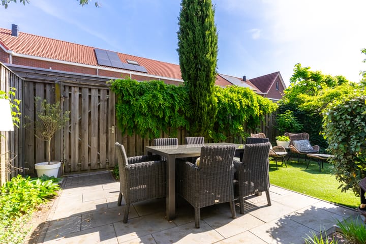 Photo 48 of Buizerd 98